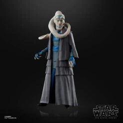 Hasbro Star Wars The Black Series Bib Fortuna 13 Hasbro Star Wars The Black Series Bib Fortuna -Hasbro Fun Toys F3417 3 43959.1672169502