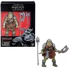Hasbro Gamorrean Guard - Star Wars The Black Series 6-Inch -Hasbro Fun Toys GamorreanGuard StarWarsTheBlackSeries6 Inch