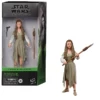 Hasbro Princess Leia - Star Wars The Black Series 6-Inch Action Figure [Ewok Village] -Hasbro Fun Toys PrincessLeia StarWarsTheBlackSeries6 InchActionFigure EwokVillage